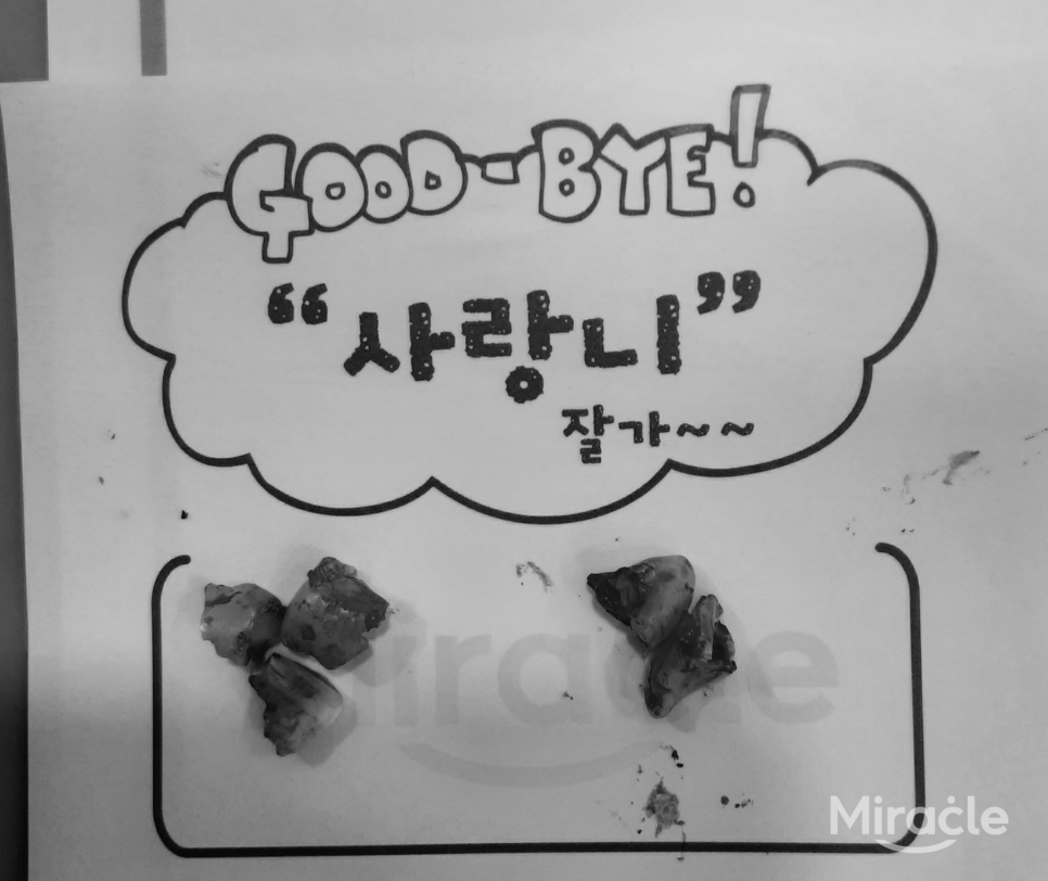 방사선 영상 5